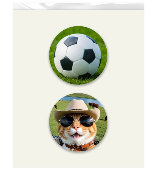 Prime Toppers Custom Edible Image Prints 5" Size Circle (Non Pre-Cut) - 2 Circles Per Sheet