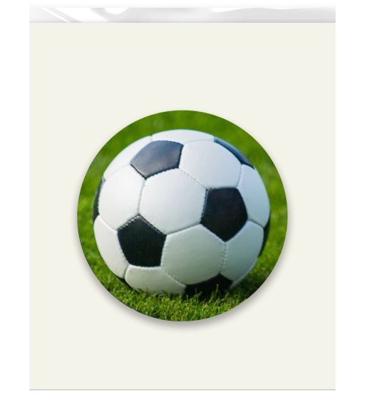 Prime Toppers Custom Edible Image Prints 6" Size Circle (Non Pre-Cut) - 1 Circle Per Sheet