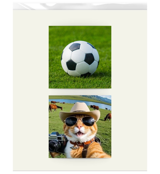 Prime Toppers Custom Edible Image Prints 5x5" Size Square (Non Pre-Cut) - 2 Toppers Per Sheet