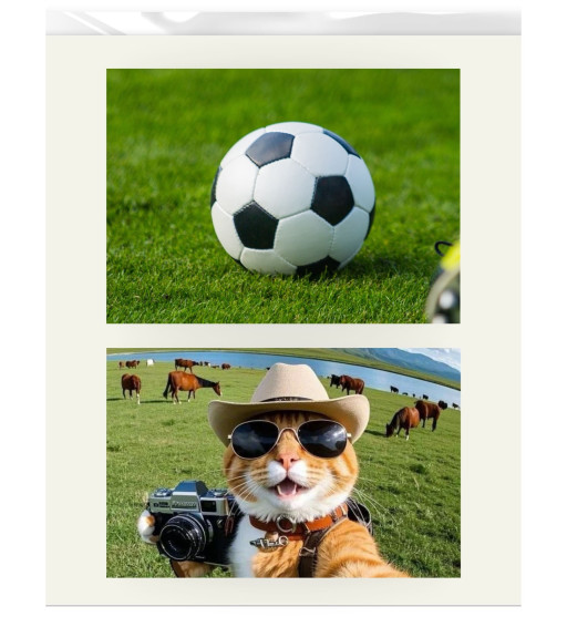 Prime Toppers Custom Edible Image Prints 4x6" Size Rectangle (Non Pre-Cut) - 2 Toppers Per Sheet