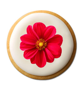 Prime Toppers 8" Round Custom Printed Sugar Shortbread Cookie - Delicious Ready-to-Eat Iced Cookies with Personalized Image or Logo